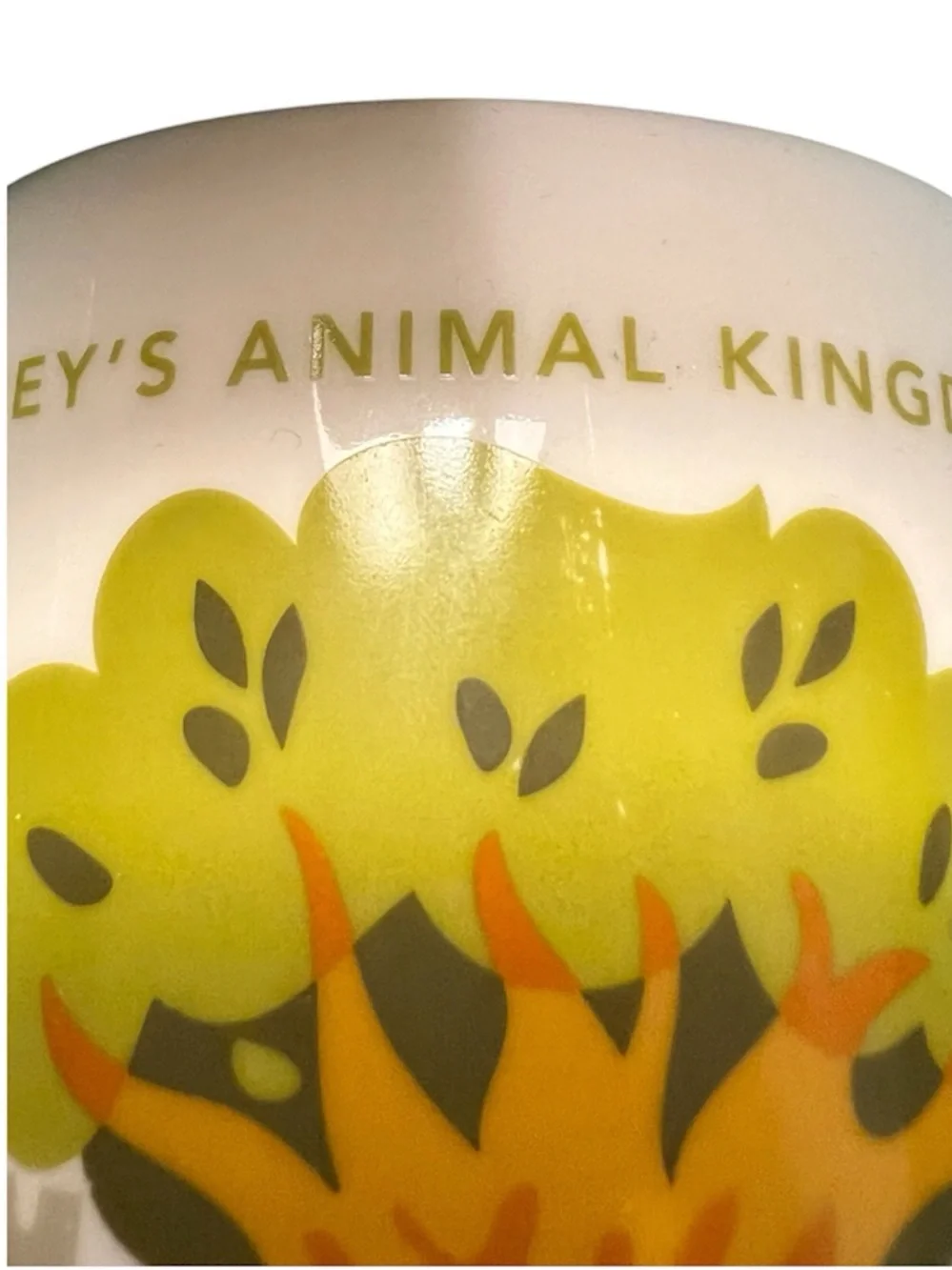 Starbucks Disney’s Animal Kingdom “You Are Here” Series 14oz Collectible Cup!